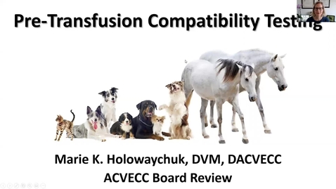 Thumbnail for entry Pretransfusion Compatibility Testing: ACVECC Exam Webinar August 28, 2019