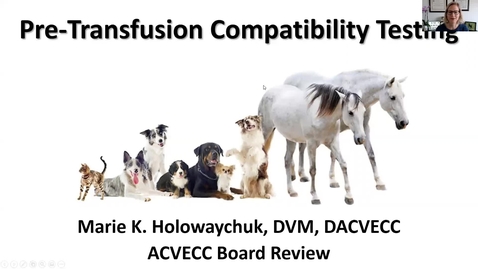 Thumbnail for Pretransfusion Compatibility Testing: ACVECC Exam Webinar August 28, 2019