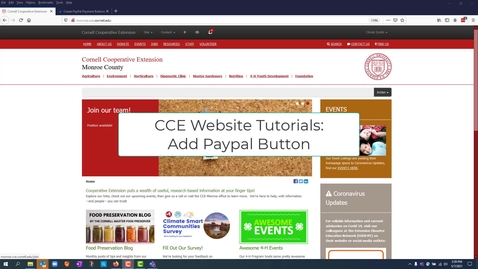 Thumbnail for Website - Add Paypal Button