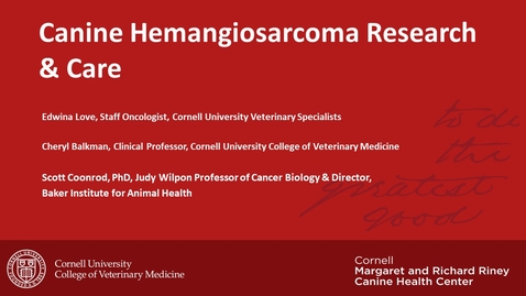 Thumbnail for entry Hemangiosarcoma Research &amp; Care 1.12.2022