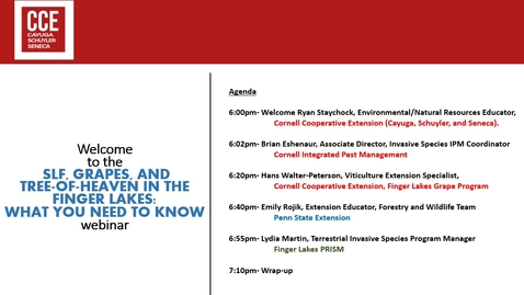 Thumbnail for SLF, Grapes and TOH in the Finger Lakes: What You Need To Know