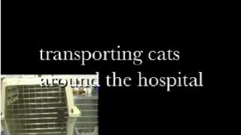 Thumbnail for entry Feline Transport