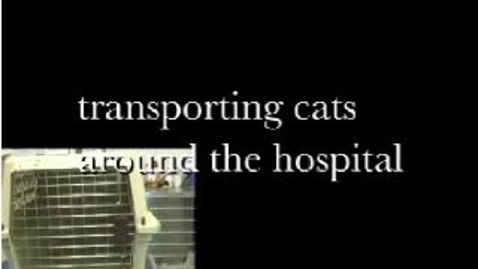 Thumbnail for Feline Transport