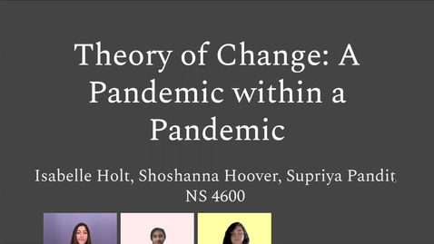Thumbnail for A Pandemic Within a Pandemic