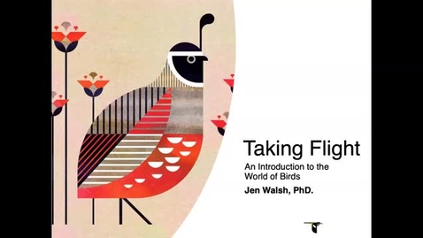 Thumbnail for Taking Flight 7/14/2021 11:00am