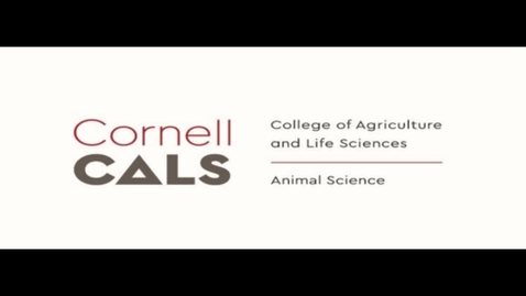Thumbnail for Forage - Optimizing Animal Performance: Factors affecting dry matter intake
