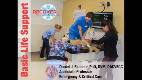 Thumbnail for CPR and PCA Care: ACVECC Exam Webinar August 14, 2019