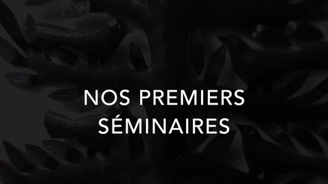 Thumbnail for entry Nos premiers séminaires (2019)