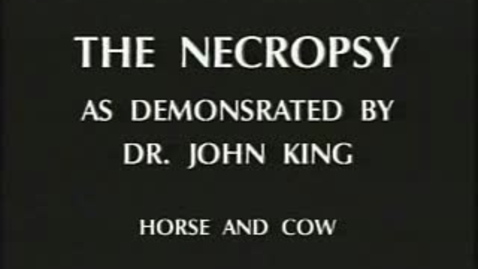 Thumbnail for Necropsy - Dr. King