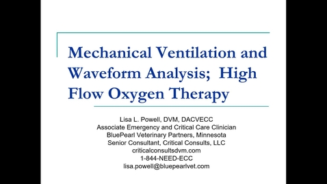 Thumbnail for Mechanical Ventilation: ACVECC Exam Webinar July 22, 2019
