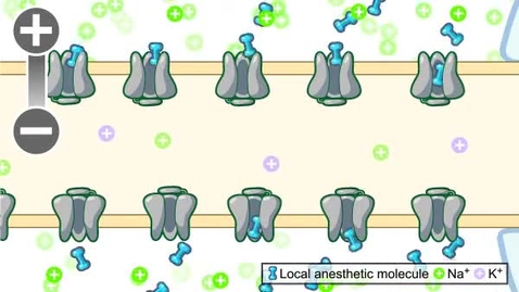 Thumbnail for pfiz_epi_03_01_01_02_vidStep3.flv