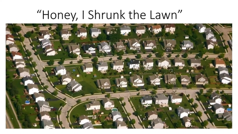 Thumbnail for &quot;Honey, I Shrunk the Lawn&quot; by Judith Fetterley, Albany Master Gardener April 1, 2025 for NYSDOT