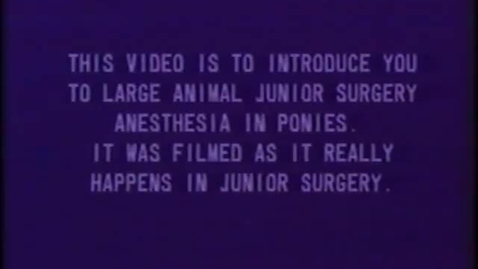 Thumbnail for Pony Anesthesia