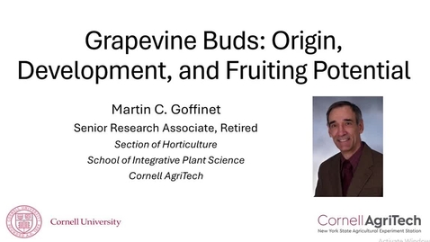 Thumbnail for 2. Grapevine Buds: Origin, Development, and Fruiting Potential