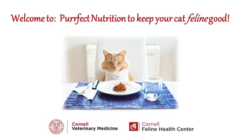 Thumbnail for entry Purrfect Nutrition to keep your cat &quot;feline&quot; good! virtual webinar 