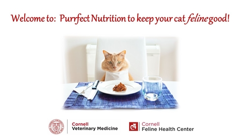 Thumbnail for Purrfect Nutrition to keep your cat &quot;feline&quot; good! virtual webinar 