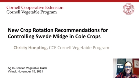 Thumbnail for New Crop Recommendations for Controlling Swede Midge in Cole Crops