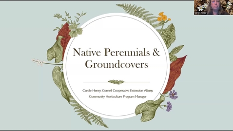 Thumbnail for Native Perennials &amp; Groundcovers presented by Carole Henry, Community Horticulture Program Manager on May 19, 2026