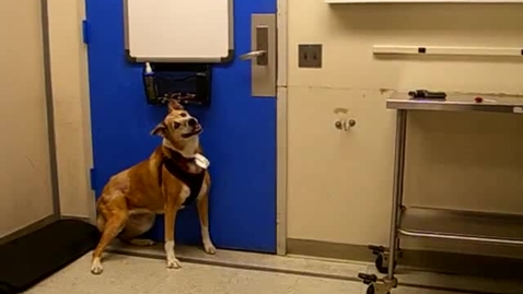 Thumbnail for media4.AVI