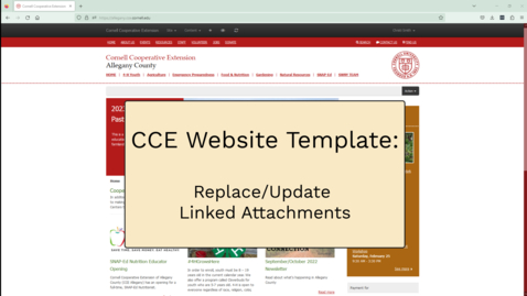 Thumbnail for Website - Replace linked content
