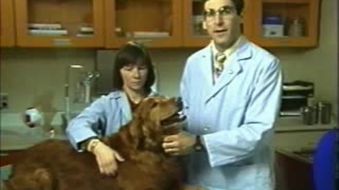 Thumbnail for Direct Ophthalmoscopy