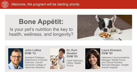 Thumbnail for entry Bone Appétit: Is your pet’s nutrition the key to health, wellness, and longevity?