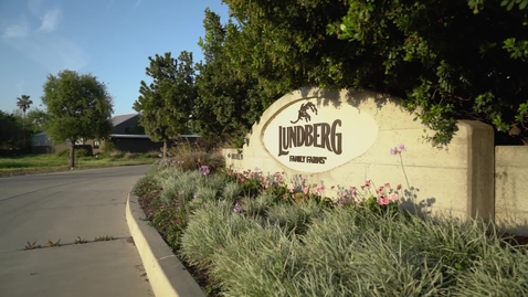 Thumbnail for Butte College The Training Place: Spotlight on Lundberg Family Farms
