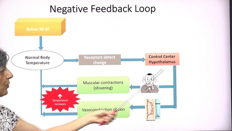 Thumbnail for Homeostasis
