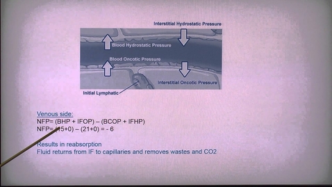 Thumbnail for Capillary Exchange