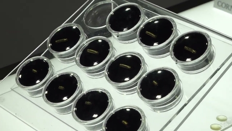 Thumbnail for First Gold Plastic Plated Plastic Connectors from Corning Gilbert