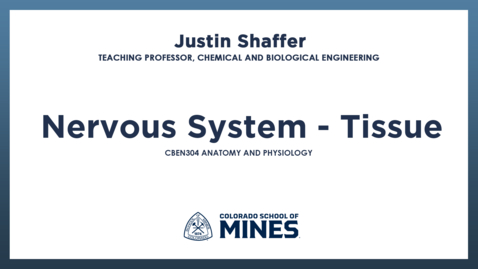 Thumbnail for CBEN304 | Nervous System - Tissue