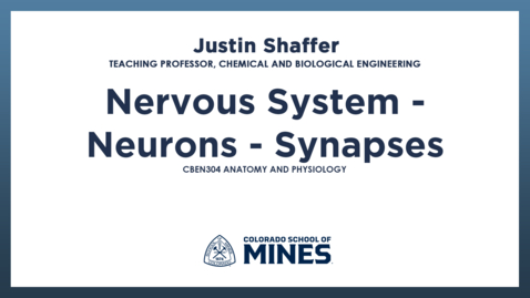 Thumbnail for CBEN304 | Nervous System - Neurons - Synapses