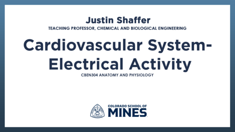 Thumbnail for CBEN304 | Cardiovascular System - Electrical Activity