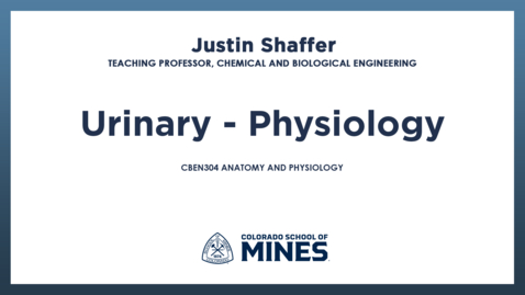Thumbnail for CBEN304 | Urinary - Physiology