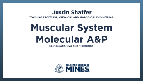 Thumbnail for CBEN304 | Muscular System - Molecular A&amp;P
