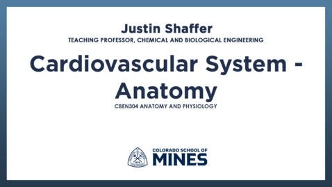 Thumbnail for CBEN304 | Cardiovascular System - Anatomy