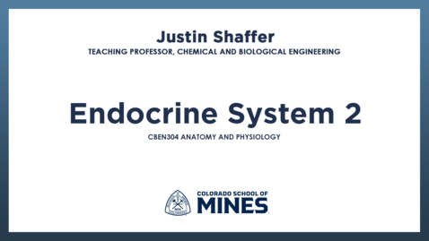 Thumbnail for CBEN304 | Endocrine System 2