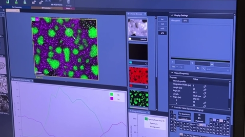 Thumbnail for Coorstek 001P:  FEI Talos F200X TEM/STEM