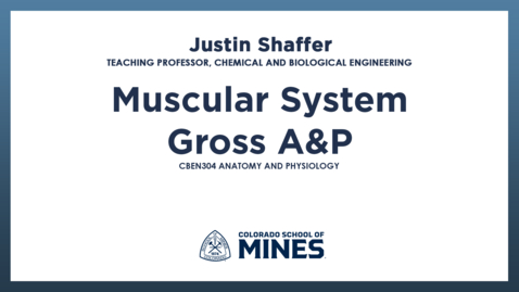 Thumbnail for CBEN304 | Muscular System - Gross A&amp;P