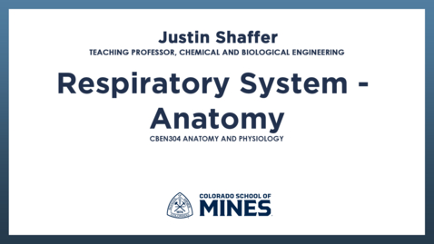 Thumbnail for CBEN304 | Respiratory System - Anatomy