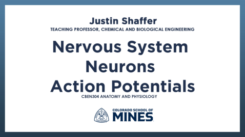 Thumbnail for CBEN304 | Nervous System - Neurons - Action Potentials