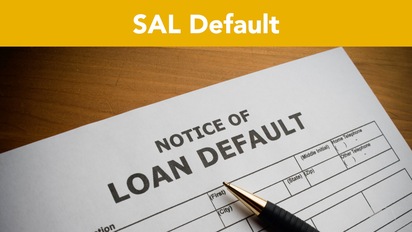 Sal Default Fort Valley State University Ocelot