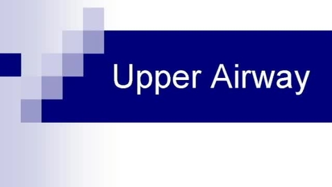 Thumbnail for entry Upper_Airway_HR
