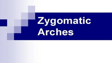 Thumbnail for entry zygomatic_arches_HR