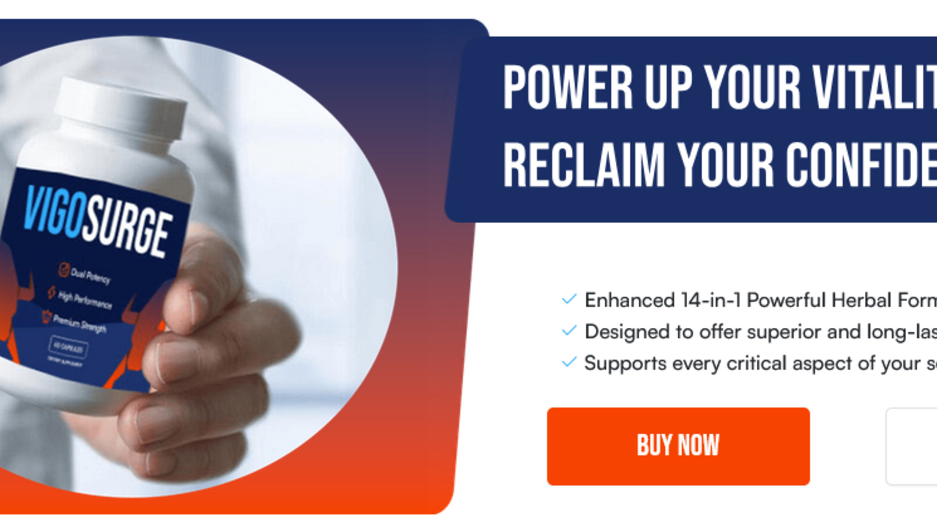 VigoSurge review