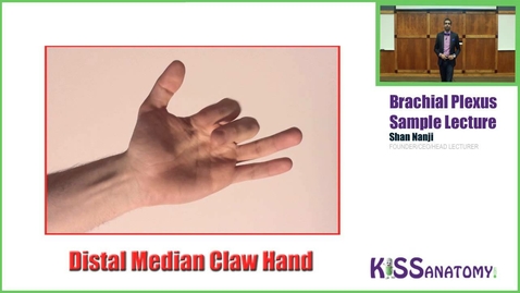 Thumbnail for Brachial Plexus Made Insanely Easy