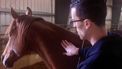 Thumbnail for entry Horses Teach Bedside Manner to Future Doctors