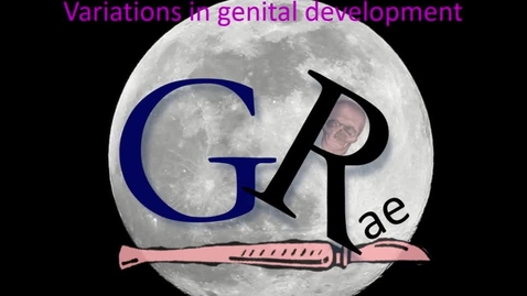 Thumbnail for entry Genital variations of development  the short story