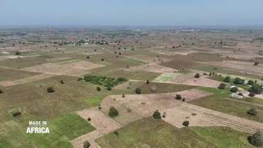 Arachide : l'or du Sénégal [Reportage Made in Africa du 13 novembre 2025]