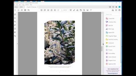 Thumbnail for entry Hyperlinked Images in Accessible PDFs - Formatting Techniques